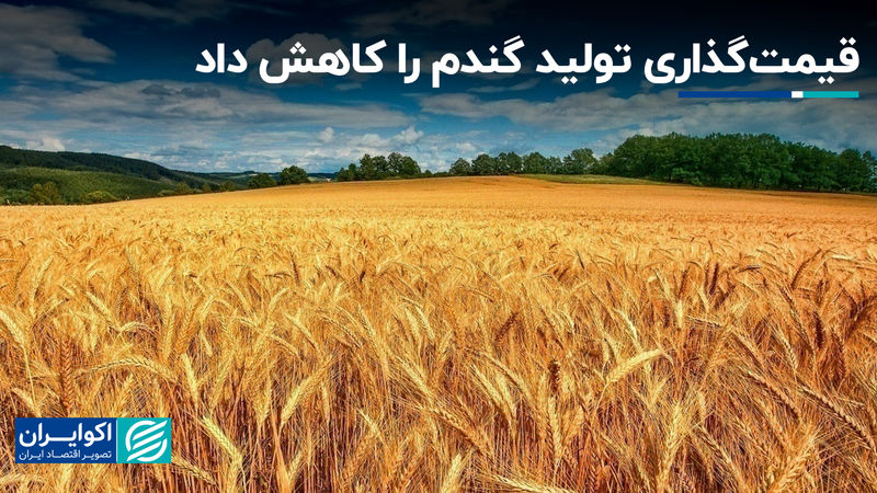 قیمت‌گذاری تولید گندم را کاهش داد