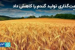 قیمت‌گذاری تولید گندم را کاهش داد