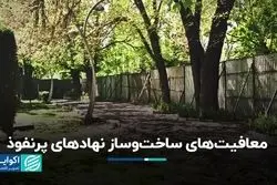 معافیت‌های ساخت‌وساز نهادهای پرنفوذ