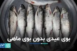 ارزانترین و گرانترین ماهی‌های نوروز