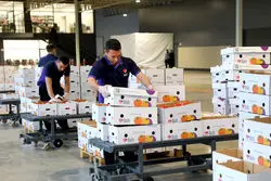 راه‌اندازی بزرگ‌ترین زون پروتئینی کشور در تهران