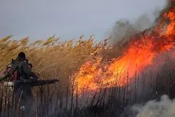 وعده حمایت از کشاورزان خسارت‌دیده از آتش‌سوزی و شوری آب در خوزستان