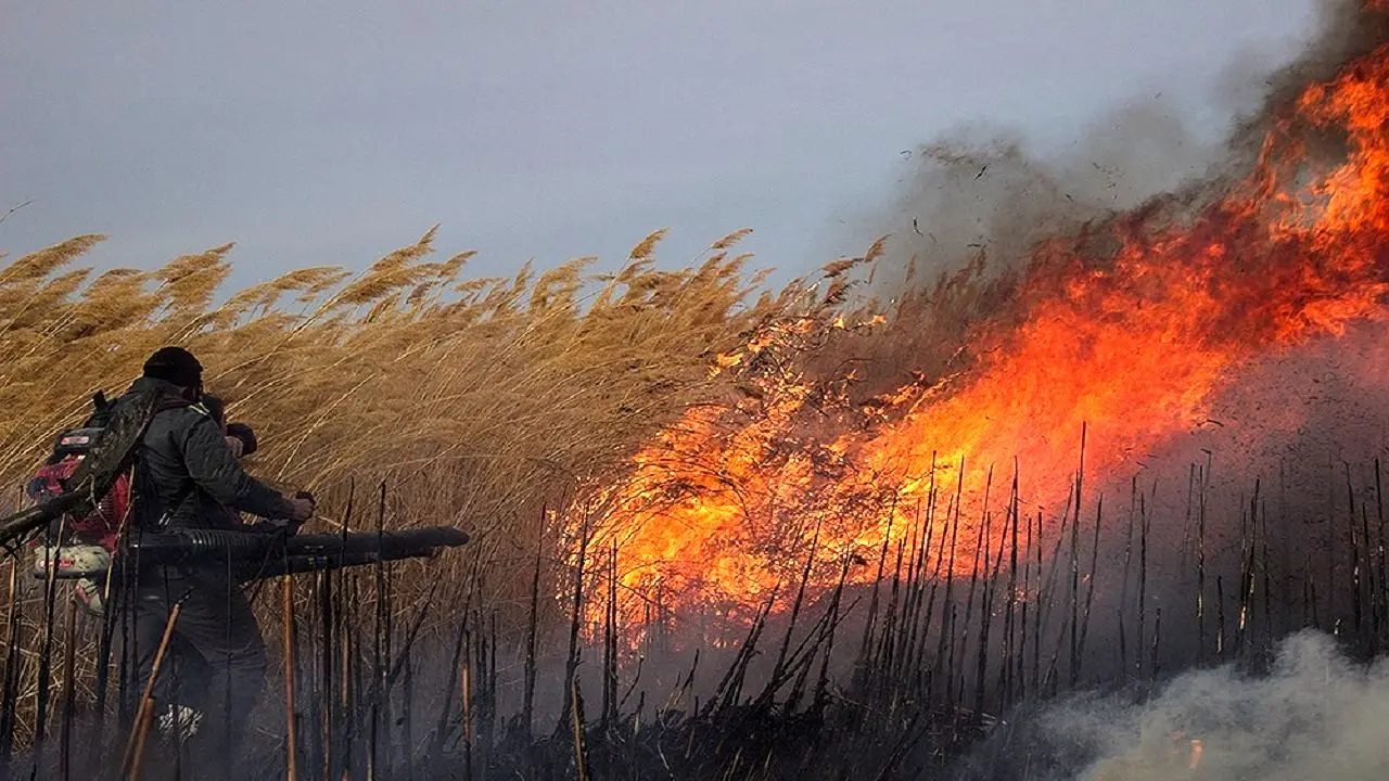 تعیین تکلیف حقابه هورالعظیم/ چه بر سر تالاب آمده است؟