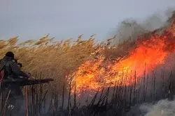 تأمین حق‌آبه تنها راه‌حل برای مهار آتش‌سوزی در هورالعظیم