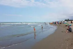 مهارت ناجیان غریق بررسی می‌شود
