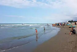 مهارت ناجیان غریق بررسی می‌شود