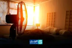 چرا گرمایی که احساس می‌کنیم از دمای اعلامی هواشناسی بیشتر است؟
