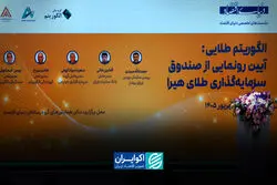 مدیران اقتصادی و الگوریتم طلایی