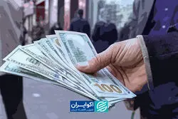  کارنامه جنجالی دولت‌ها در بازار ارز/ پزشکیان و روحانی چقدر دلار را گران کردند؟