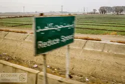 زنگ خطر خرد شدن اراضی به صدا درآمد / 30 برابر اراضی کشور خردتر شدن