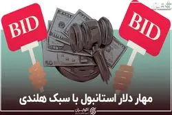 مهار دلار استانبول با سبک هلندی