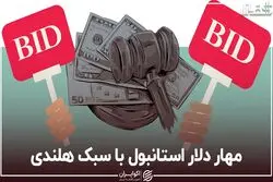 مهار دلار استانبول با سبک هلندی