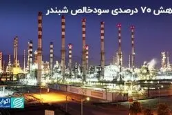 کاهش 70 درصدی سودخالص شبندر