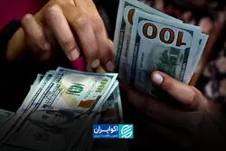 دلار در برابر نگرانی‌های اقتصادی؛ چرا دارایی‌های آمریکا هنوز خریدار دارند؟