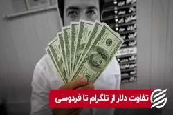 تفاوت دلار از تلگرام تا فردوسی