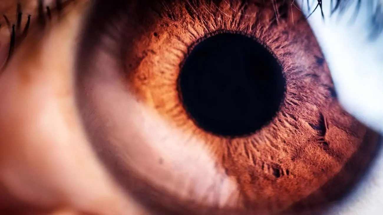 گام مهم دانشمندان برای نابینایان/ درمان نابینایی با طلا