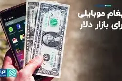 پیغام موبایلی برای بازار دلار