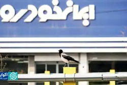  اشتباه در واگذاری ایران‌خودرو چه بود؟