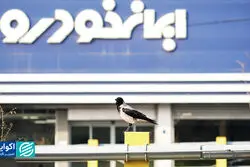  اشتباه در واگذاری ایران‌خودرو چه بود؟