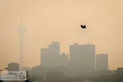 وزیر متناقض و ناظران خاموش؛ بهمن را هم تعطیل کنید!
