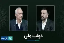 دولت ملی