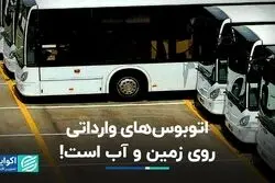 چمران: اتوبوس‌های وارداتی روی زمین و آب است!