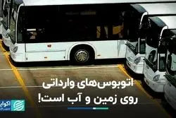 چمران: اتوبوس‌های وارداتی روی زمین و آب است!