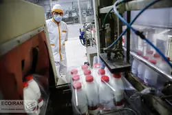  آیا لبنیات از سفره ایرانی‌ها حذف می‌شود؟