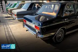 دورهمی عشق پیکان‌ها