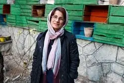 نسرین ستوده آزاد شد