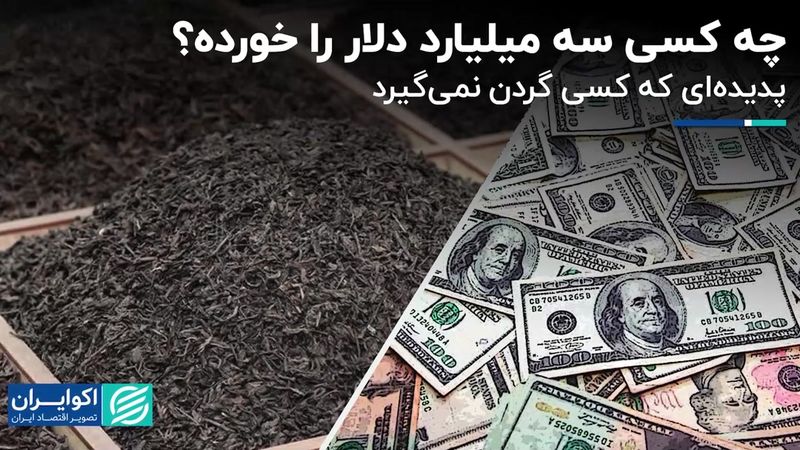 فساد ارزی در واردات چای؛ سه میلیارد دلار را که خورد؟