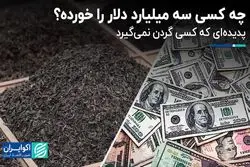 فساد ارزی در واردات چای؛ سه میلیارد دلار را که خورد؟