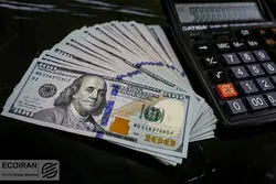 قیمت دلار امروز 6 تیر 1402 / دلار در شیب کند کاهش