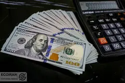قیمت دلار امروز 6 تیر 1402 / دلار در شیب کند کاهش