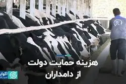 هزینه حمایت دولت از دامداران