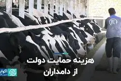 هزینه حمایت دولت از دامداران