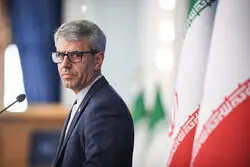 پاسخ بقایی به ادعای ترامپ درباره جانباختگان دی‌ماه