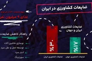 لجستیک کشاورزی، حلقه پنهان بهره‌وری و ضایعات