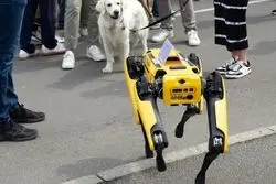 سگ‌های رباتیک پشه‌کش، جدیدترین راه‌حل مبارزه با بیماری‌ها