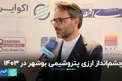 چشم‌انداز ارزی پتروشیمی بوشهر در 1403