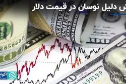 شش دلیل نوسان در قیمت دلار