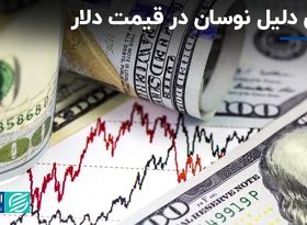 شش دلیل نوسان در قیمت دلار