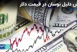 شش دلیل نوسان در قیمت دلار
