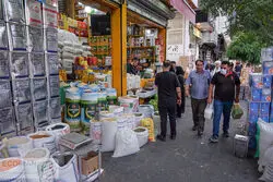 صدای تامین کنندگان حبوبات درآمد