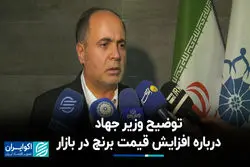  توضیح وزیر جهاد درباره افزایش قیمت برنج در بازار 