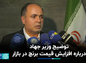  توضیح وزیر جهاد درباره افزایش قیمت برنج در بازار 