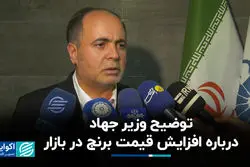  توضیح وزیر جهاد درباره افزایش قیمت برنج در بازار 