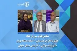 شطرنج دیپلماسی