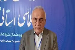 نشست دیپلماسی استانی | واگذاری اختیارات به استان‌های شرقی، ظرفیت تجارت را افزایش می‌دهد