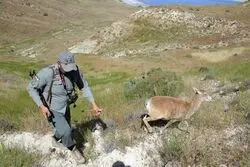 صدور کیفرخواست قاتل محیط‌بان گلستانی 
